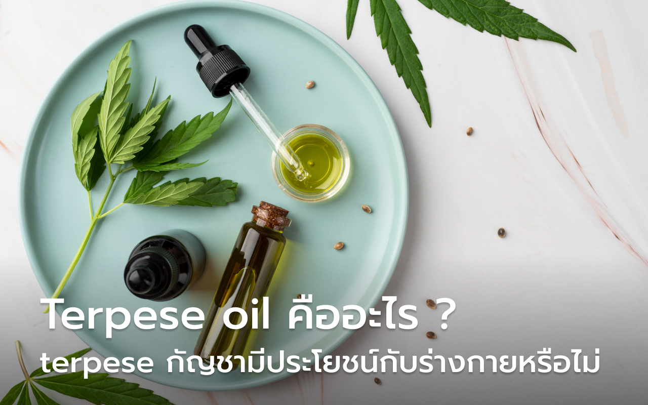 Terpene oil คืออะไร